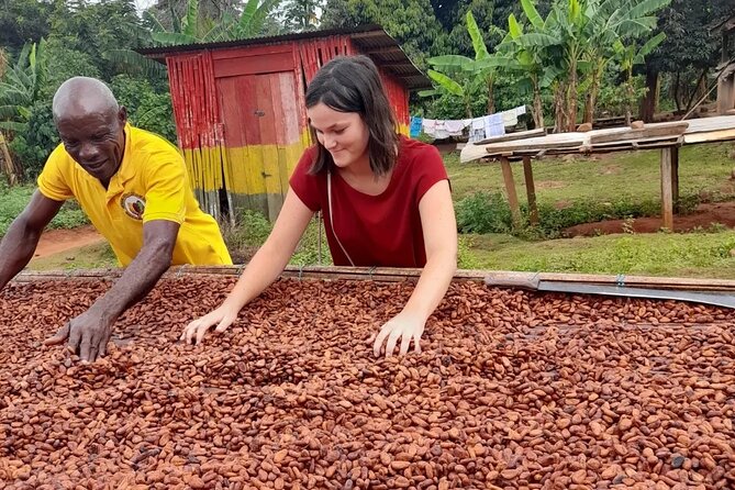 1 Day cocoa farm tour - Why a cocoa farm makes a worthwhile day trip from Accra