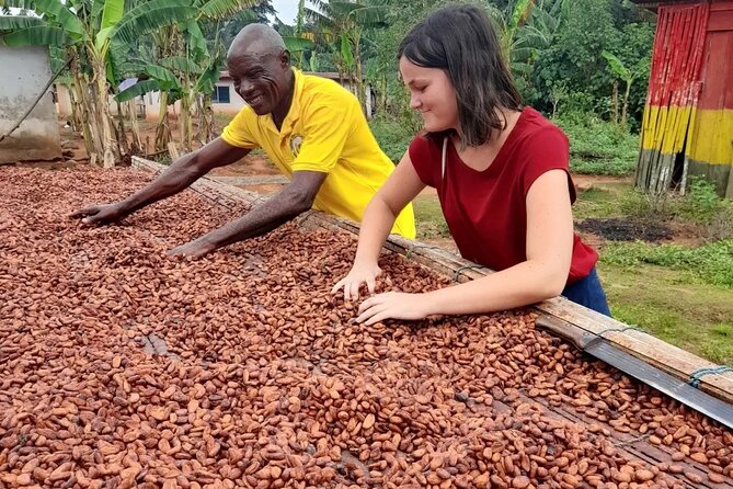1 Day cocoa farm tour - The guide can shape the whole experience
