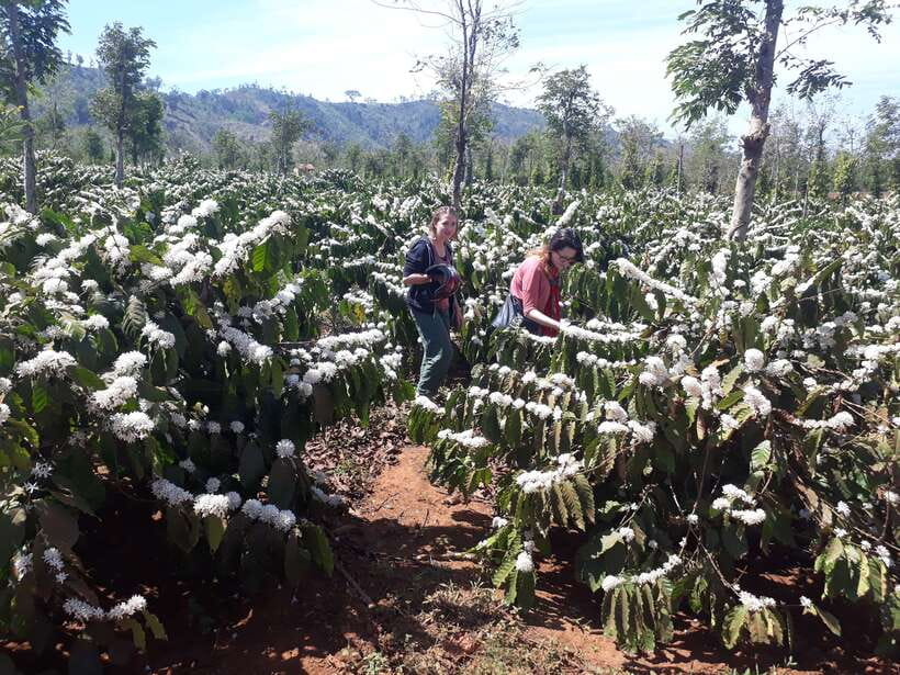 1 Day Easy Rider Tour in Dalat–Villages, Farms & Waterfalls - Starting with Dalat’s farms and high viewpoints