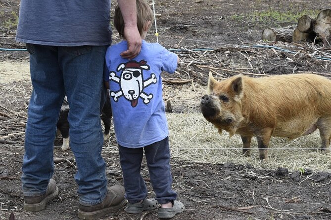 1 Hour Guided Farm Tour in the Adirondacks - What sustainable farming means here