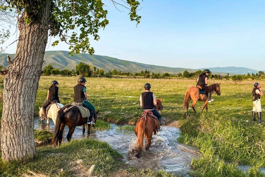 1-Hour Horse Riding Tour at Palomino Ranch Near Tbilisi - Meeting the horses and getting ready