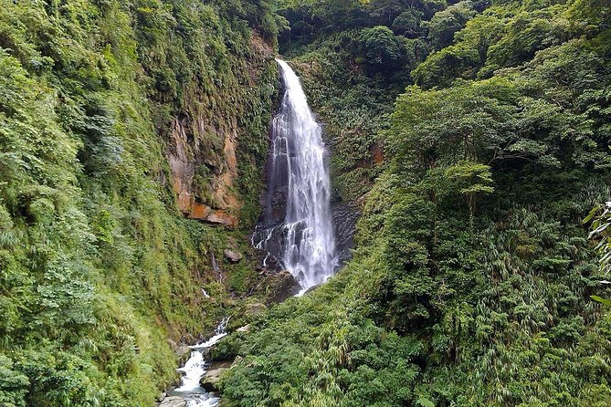 1D Tour to Cingjing Farm from Taichung - Five details that shape the day
