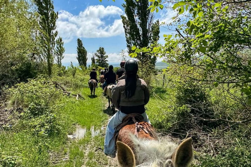 2-hour horse riding tour at Palomino Ranch Near Tbilisi - Leaving Tbilisi for Ferma and the Kaspi Countryside