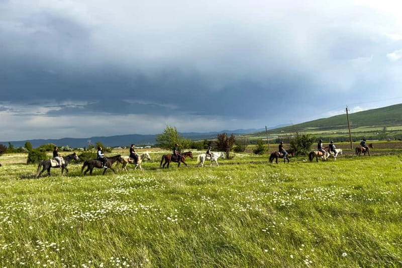 2-hour horse riding tour at Palomino Ranch Near Tbilisi - Two Hours Through Meadows and Working Farms