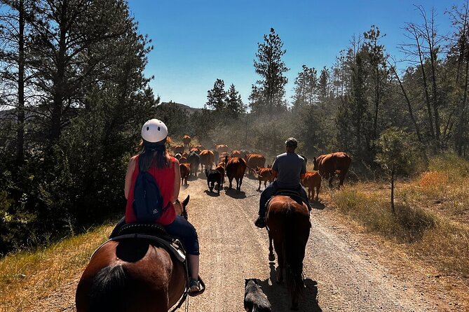 2 Hour Trail Ride in Montana Ranch Country - Key points to know before you book