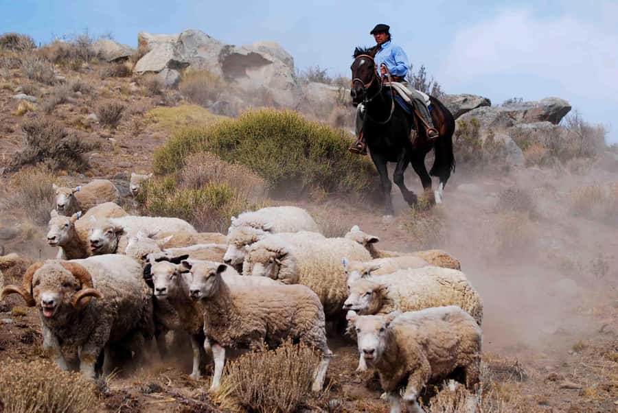 25 DE MAYO FARM - What makes this Estancia 25 de Mayo experience worthwhile