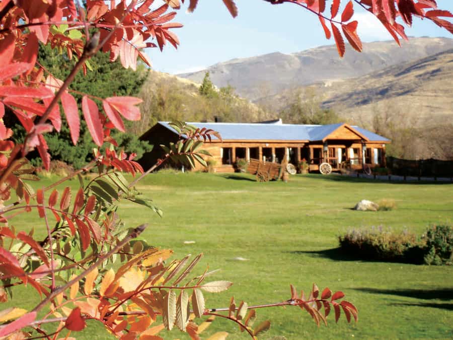 25 DE MAYO FARM - Choosing between the three formats