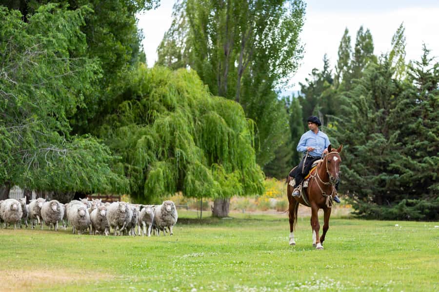 25 DE MAYO FARM - From raw wool to garments at the matera