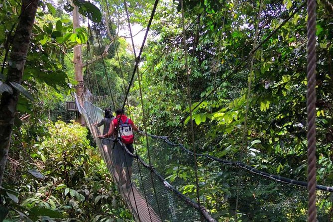 2d1n Kinabalu Park & Poring Canopy Walk & Desa Cow Farm Tour - Your overnight stay puts you close to Mount Kinabalu