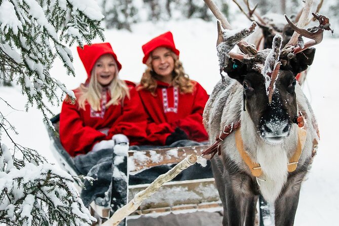 2km Sleigh Ride & Feeding Experience at Traditional Reindeer Farm - Key things to know before booking