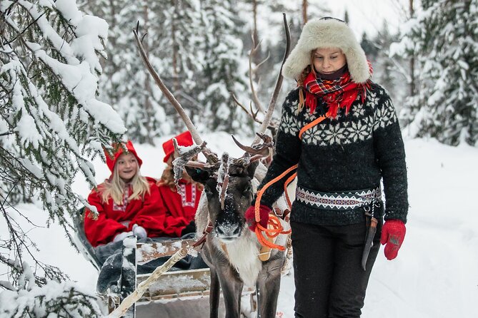 2km Sleigh Ride & Feeding Experience at Traditional Reindeer Farm - A warm hut, hot drinks, and Lapland snacks