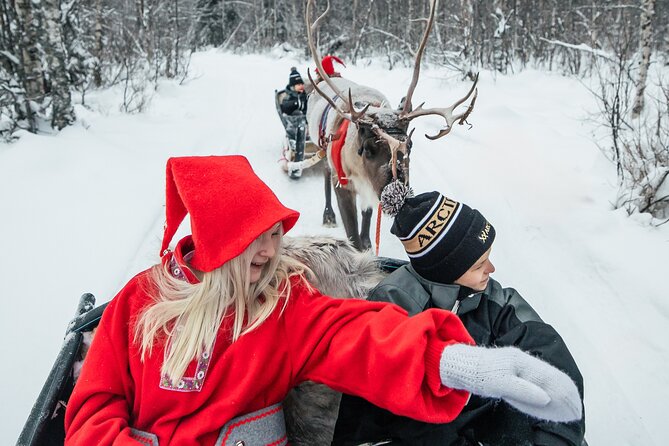 2km Sleigh Ride & Feeding Experience at Traditional Reindeer Farm - What the small group changes