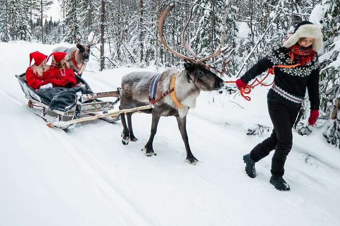 2km Sleigh Ride & Feeding Experience at Traditional Reindeer Farm - Photography that is part of the package