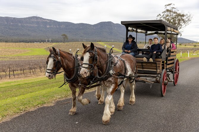 3- Hour Wine and Harvest the Hunter Horse Tour in Pokolbin - Key points to know before you book