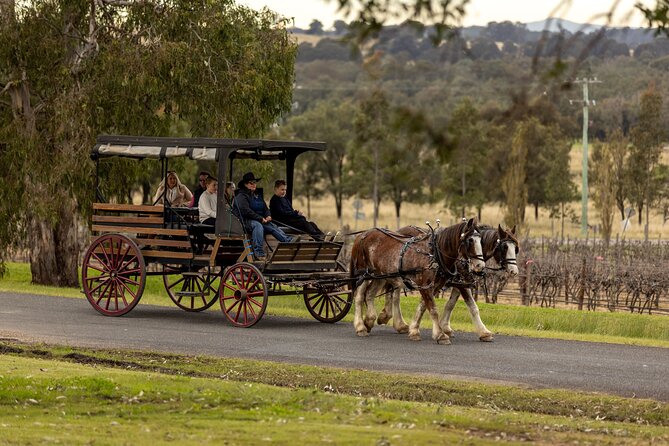 3- Hour Wine and Harvest the Hunter Horse Tour in Pokolbin - Why the carriage ride is the real attraction
