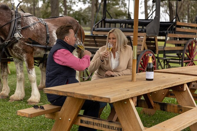 3- Hour Wine and Harvest the Hunter Horse Tour in Pokolbin - The first part of the route: Pokolbin by horse