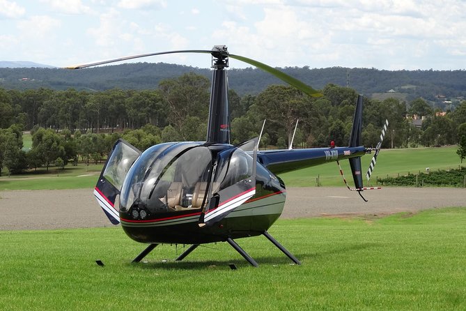 3- Hour Wine and Harvest the Hunter Horse Tour in Pokolbin - Wine stops at Pokolbin Estate and other cellar doors