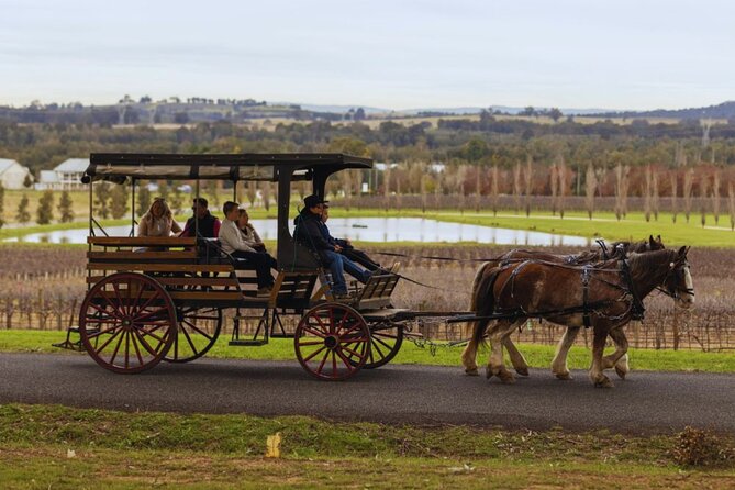 3- Hour Wine and Harvest the Hunter Horse Tour in Pokolbin - Who will enjoy this Hunter Valley outing?