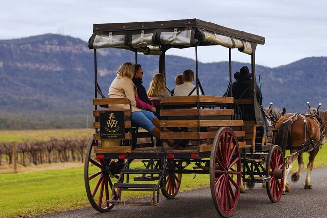 3- Hour Wine and Harvest the Hunter Horse Tour in Pokolbin - Weather, cancellation, and useful planning tips