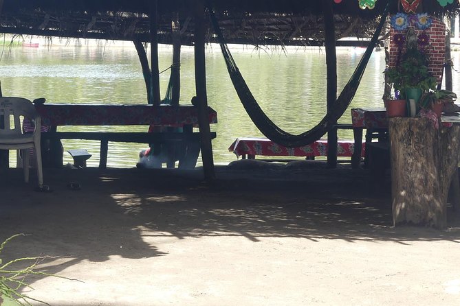 3 Palos Lagoon AfroMex Village Turtle Release & Croc Farm Visit - What this Acapulco outing is really about
