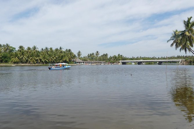 3 Palos Lagoon AfroMex Village Turtle Release & Croc Farm Visit - The turtle camp and release into the Pacific