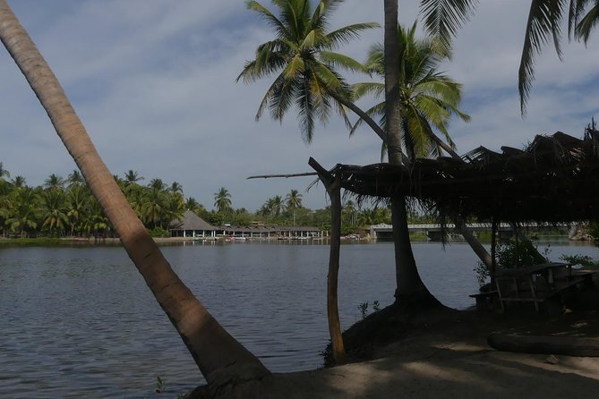 3 Palos Lagoon AfroMex Village Turtle Release & Croc Farm Visit - Lunch with pescado a la talla