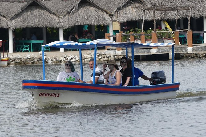3 Palos Lagoon AfroMex Village Turtle Release & Croc Farm Visit - Guide quality and group atmosphere