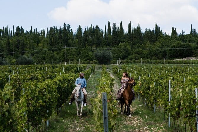 4 WINES TASTING in a Chianti Classico Farm (Visit/tour at the winery included) - A tasting room built for conversation