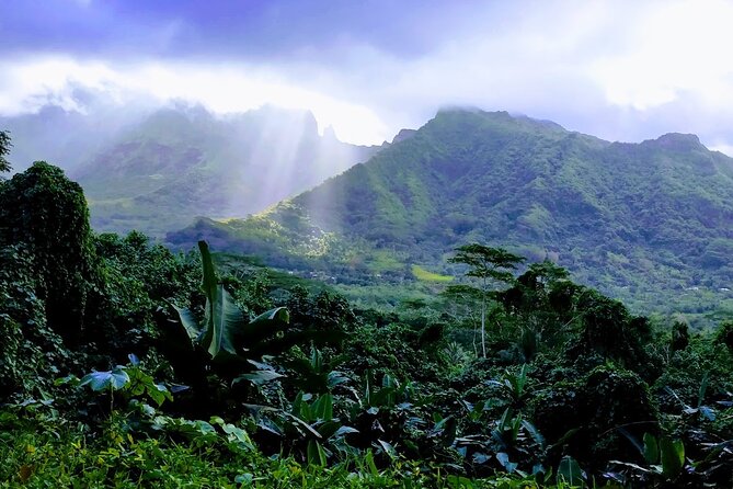 4x4 Tour – Culture, Crafts and Agritourism in Raiatea - A practical half-day view of Raiatea