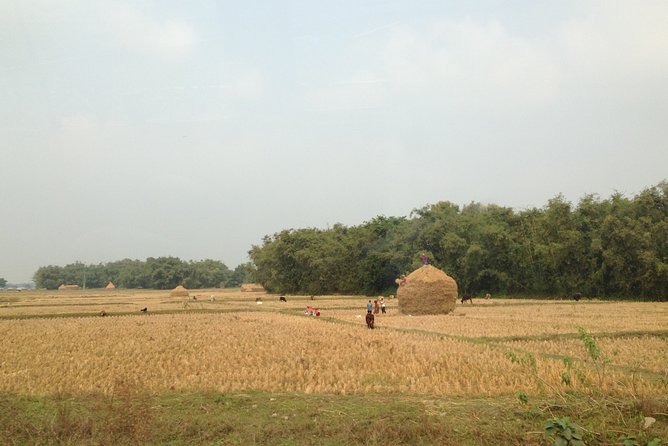 5-Day Private Farming Experience in Nayapul with Accommodation - Key points to know before you book