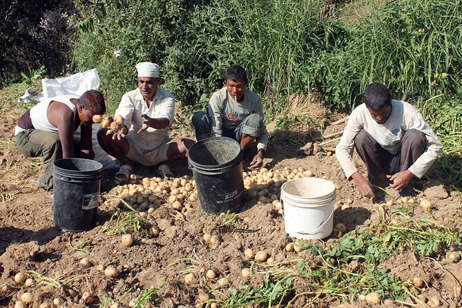 5-Day Private Farming Experience in Nayapul with Accommodation - Why this five-day farm stay feels different