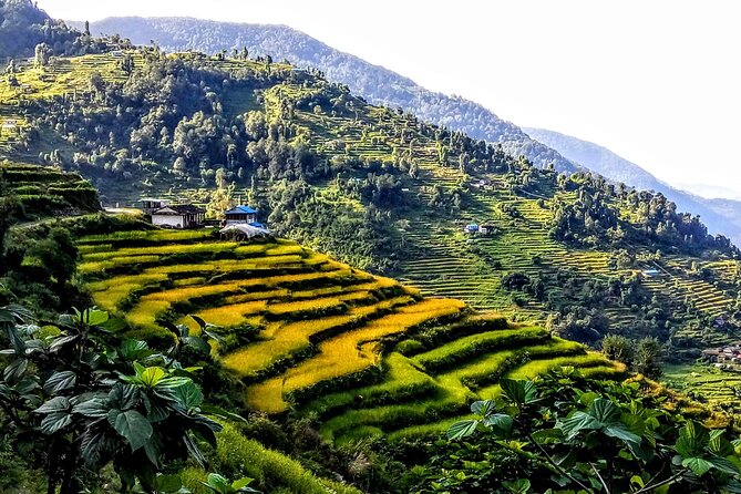 5-Day Private Farming Experience in Nayapul with Accommodation - Days 3 and 4: The real work begins