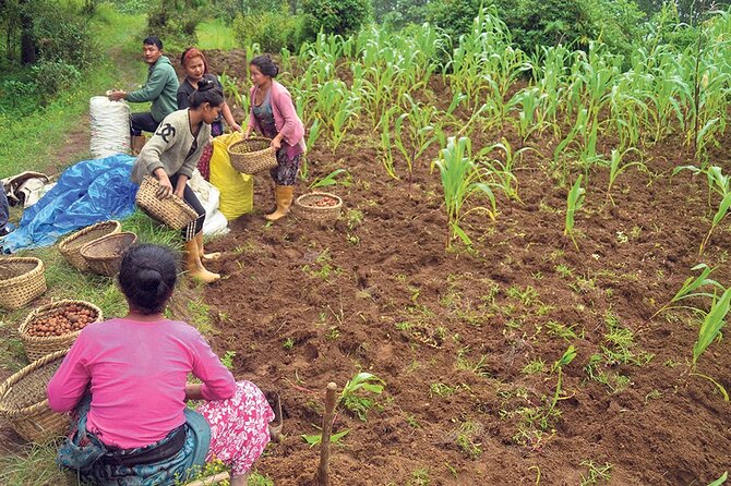 5-Day Private Farming Experience in Nayapul with Accommodation - Day 1: The drive from Pokhara to Nayapul