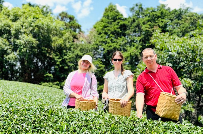 7 Hours Private Guided Tour Uji and Wazuka Matcha Farm - Walking through a working tea farm