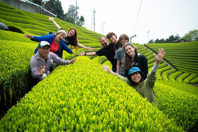 7hr Private Wazuka True Hidden Kyoto Matcha Farm Experience - Why Wazuka is worth the trip from Kyoto