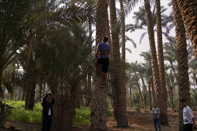 A day like a farmer in Dahsure countryside with locals - Leaving Cairo for Dahshur’s farm country