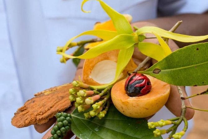 A Half Day Private Tour To Spice Farm - Key points to know before booking