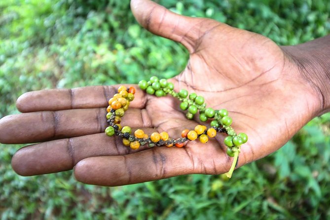 A Half Day Private Tour To Spice Farm - Walking through Zito Spice Farm