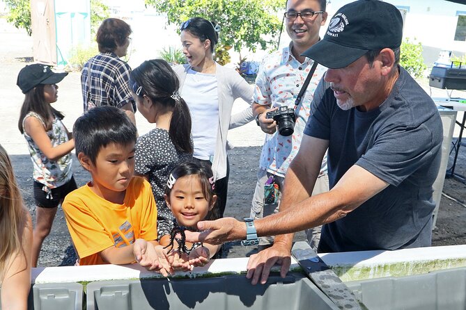 Abalone Farm Tour - Adding lunch at the on-site food truck