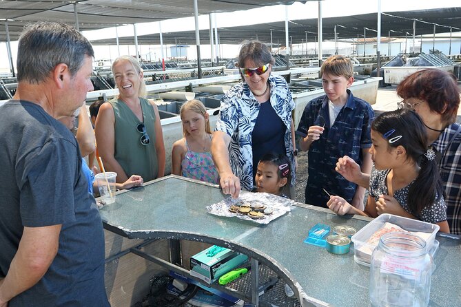 Abalone Farm Tour - Comfort, walking, and weather