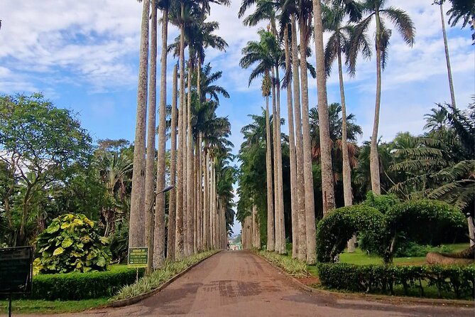 Aburi Botanic Gardens, Boti Falls,Umbrella Rock & Cocoa Farm Tour - Key things to know before you book