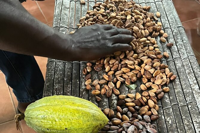 Aburi Botanic Gardens, Boti Falls,Umbrella Rock & Cocoa Farm Tour - Why this Eastern Region day trip works