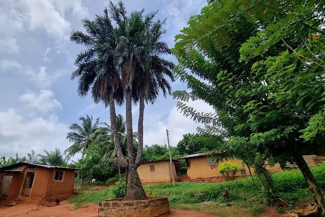 Aburi Botanic Gardens, Boti Falls,Umbrella Rock & Cocoa Farm Tour - Boti Falls and the 250 steps down