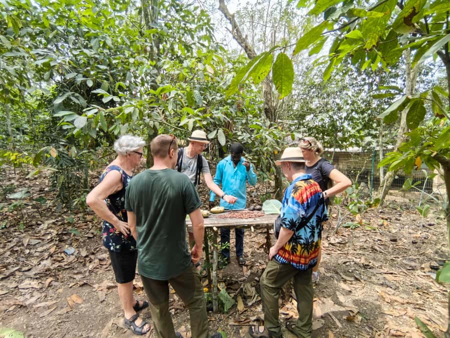Accra: Aburi Botanical Garden, Cocoa Farm, and Waterfall … - Leaving Accra for the Eastern Region