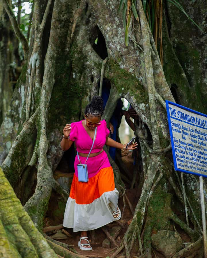 Accra: Aburi Botanical Garden, Cocoa Farm, and Waterfall … - Lunch, walking, and what to bring