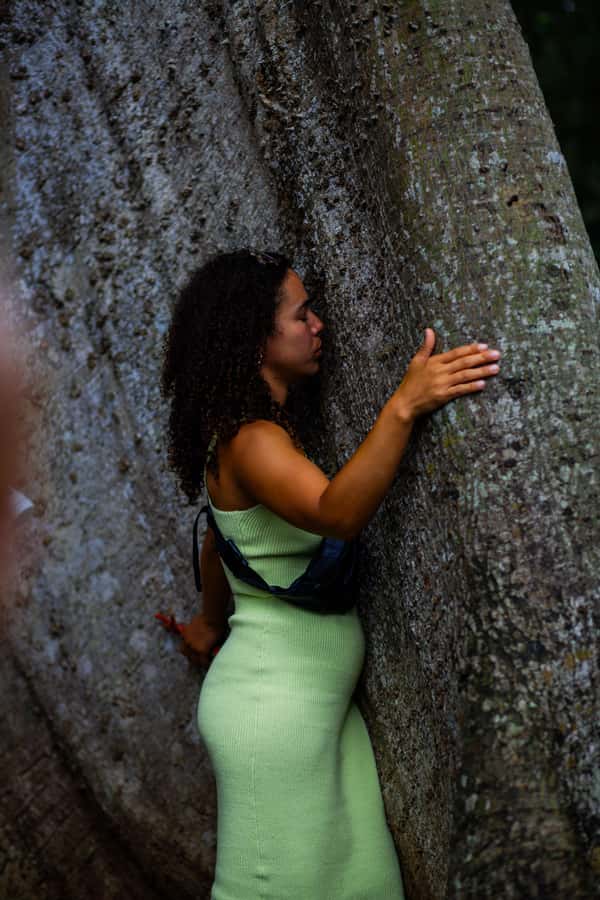 Accra: Aburi Botanical Garden, Cocoa Farm, and Waterfall … - Who will enjoy this tour most?