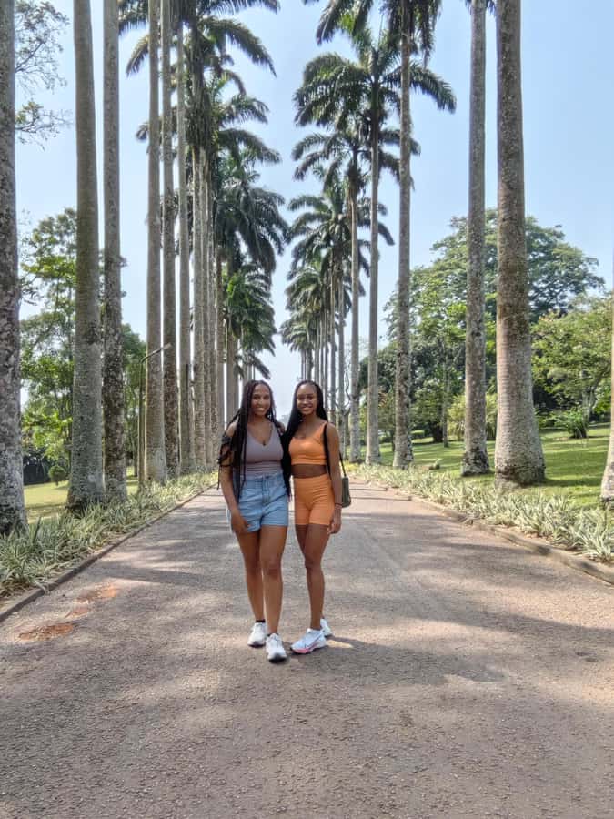 Accra: Aburi Botanical Garden, Cocoa Farm, and Waterfall … - Aburi Botanical Garden: old trees and open space