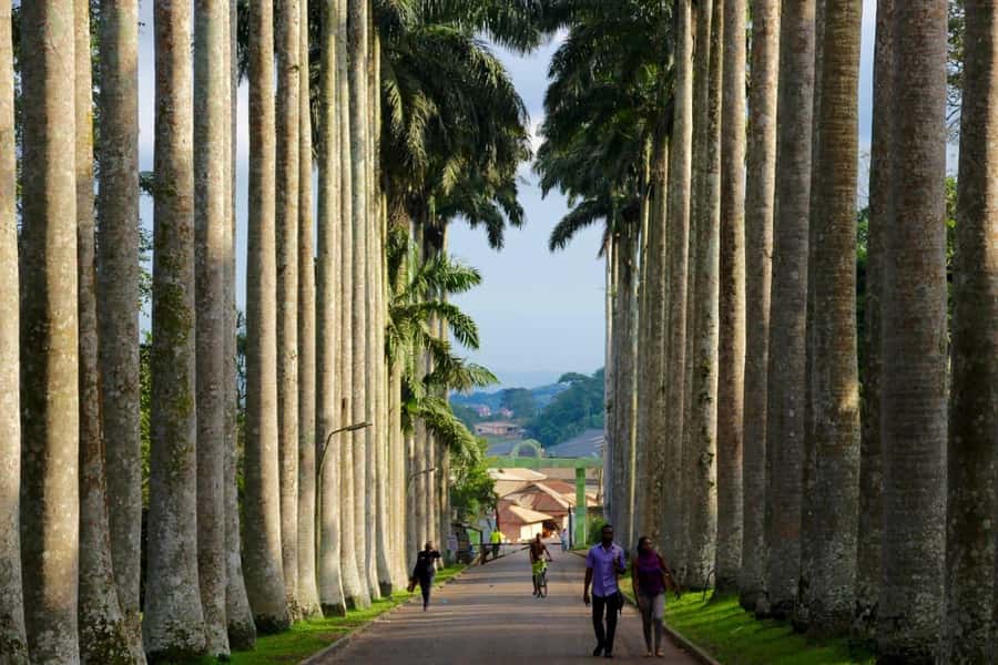 Accra Aburi Eco & Cocoa Experience: Gardens Waterfall &Lunch - Why this seven-hour outing works well