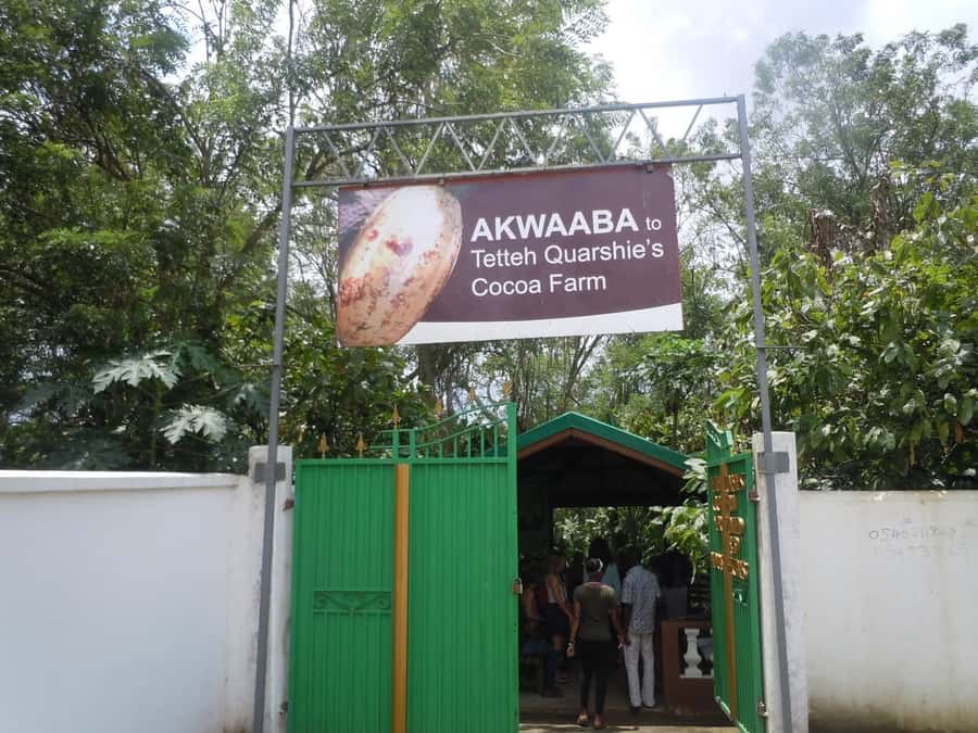 Accra Aburi Eco & Cocoa Experience: Gardens Waterfall &Lunch - Aburi Botanical Gardens and the value of walking