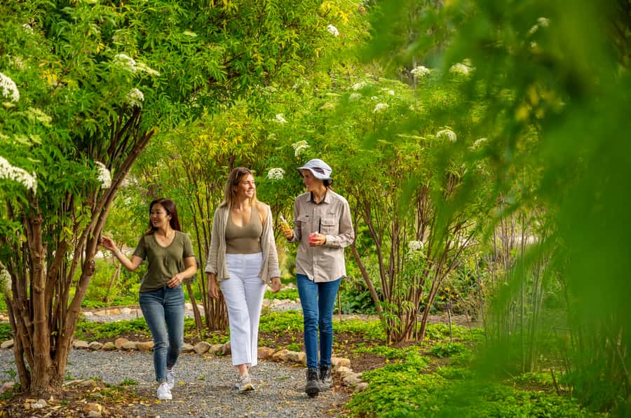 Adelaide Hills: Jurlique Farm Tour - Why the Adelaide Hills Setting Matters